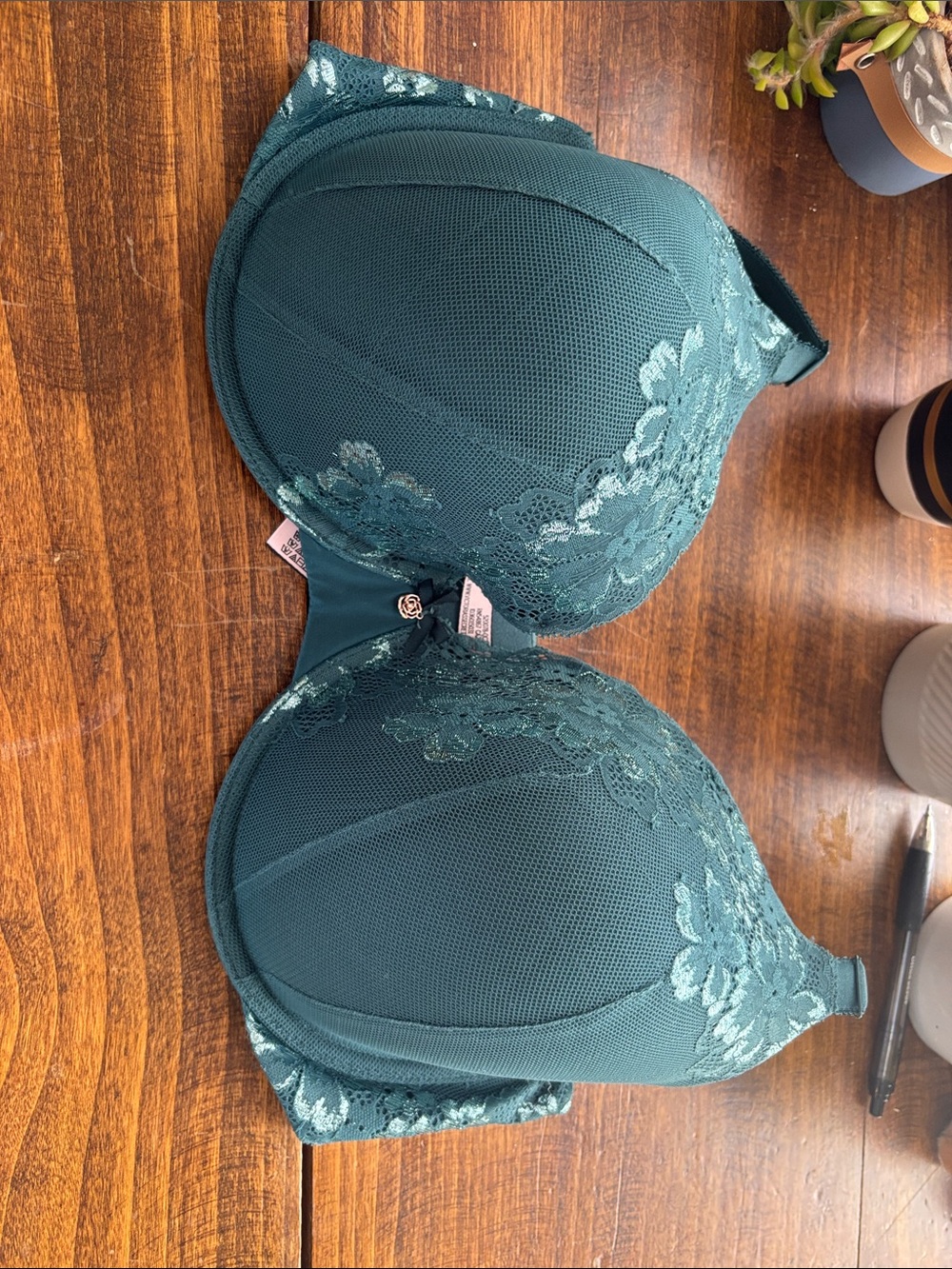Victoria's Secret Teal Lace Plunge Bra